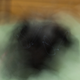Image for article titled 14 God Awful Photographs That You Took